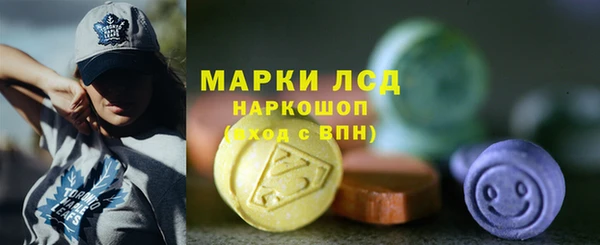 ГАЛЛЮЦИНОГЕННЫЕ ГРИБЫ Алзамай