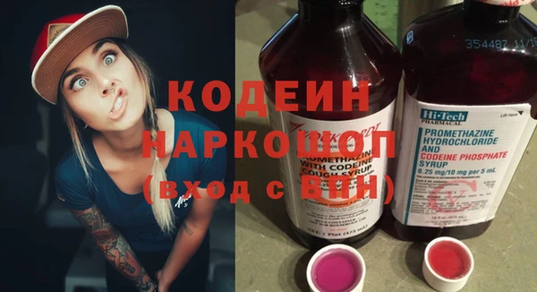 дурь Алексин