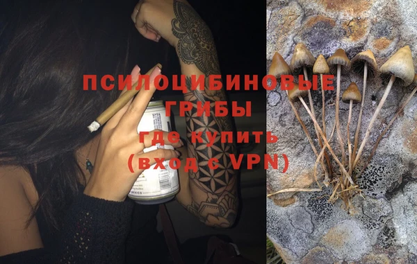 ГАЛЛЮЦИНОГЕННЫЕ ГРИБЫ Алзамай