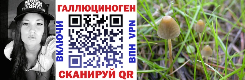 Псилоцибиновые грибы мухоморы omg зеркало Дегтярск